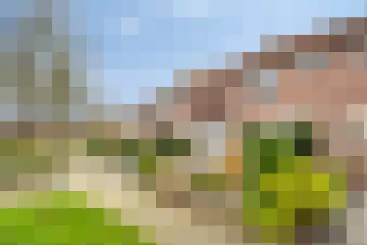 Jupiterweg 40 Oss thumbnail 44
