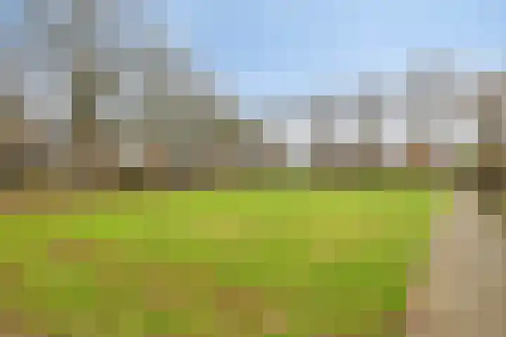 Jupiterweg 40 Oss thumbnail 45