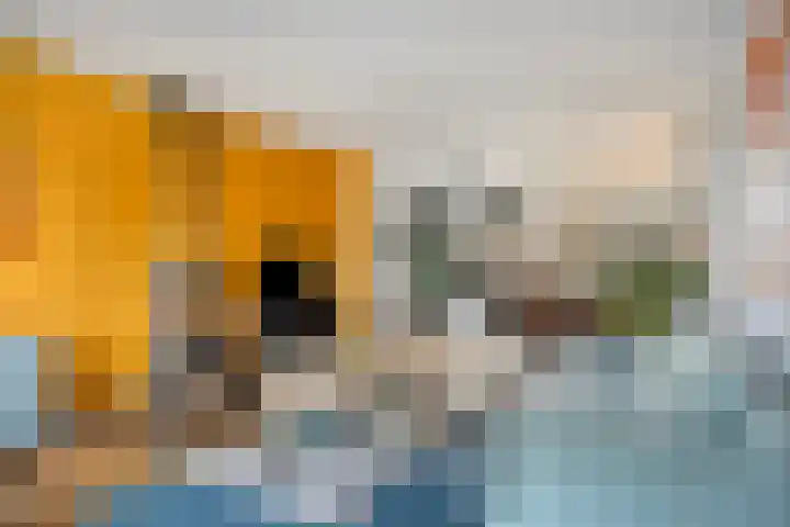 Jupiterweg 40 Oss thumbnail 8