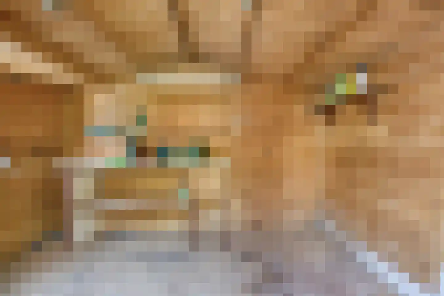 Jupiterweg 45 Oss thumbnail 22