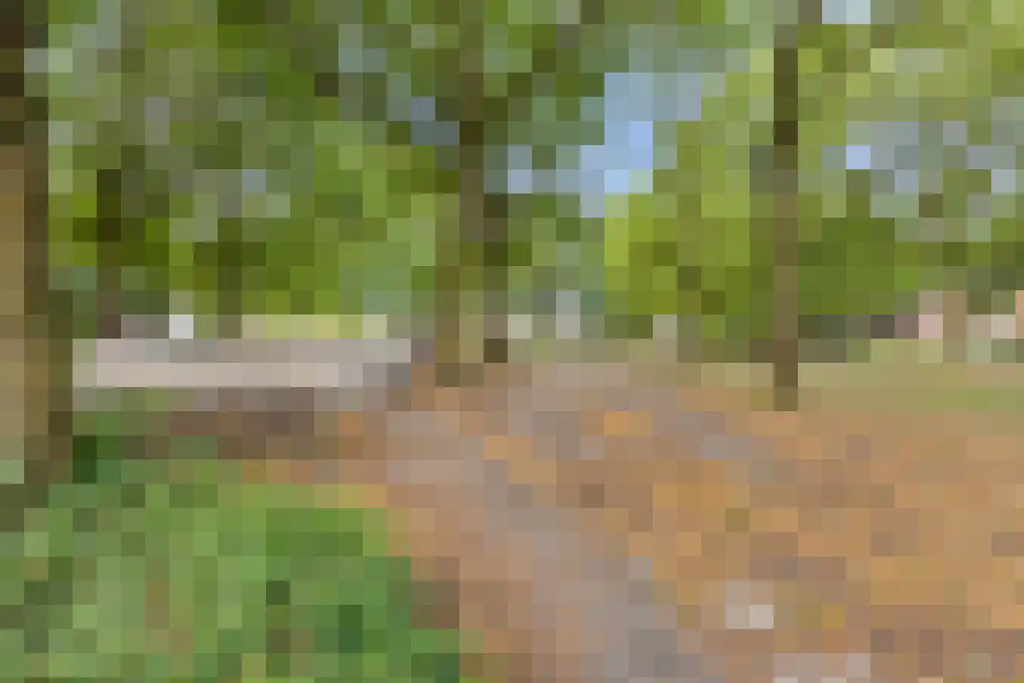 Jupiterweg 45 Oss thumbnail 27