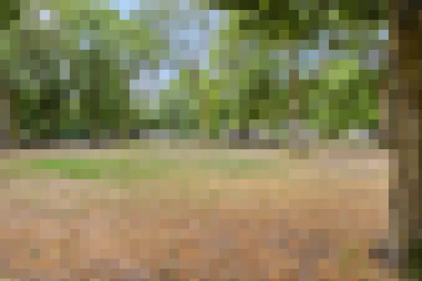 Jupiterweg 45 Oss thumbnail 28
