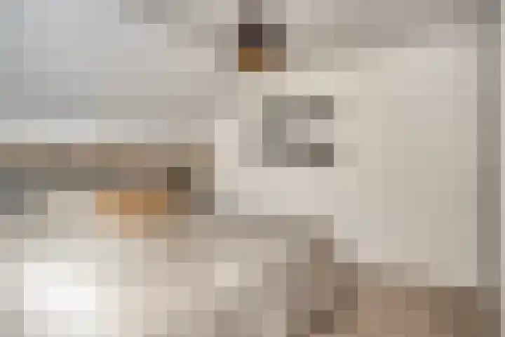 Jupiterweg 61 Oss thumbnail 21