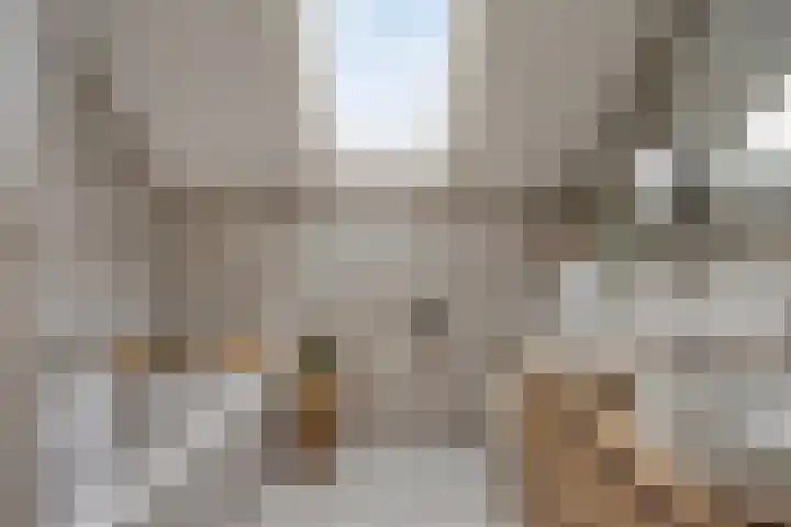 Jupiterweg 61 Oss thumbnail 24