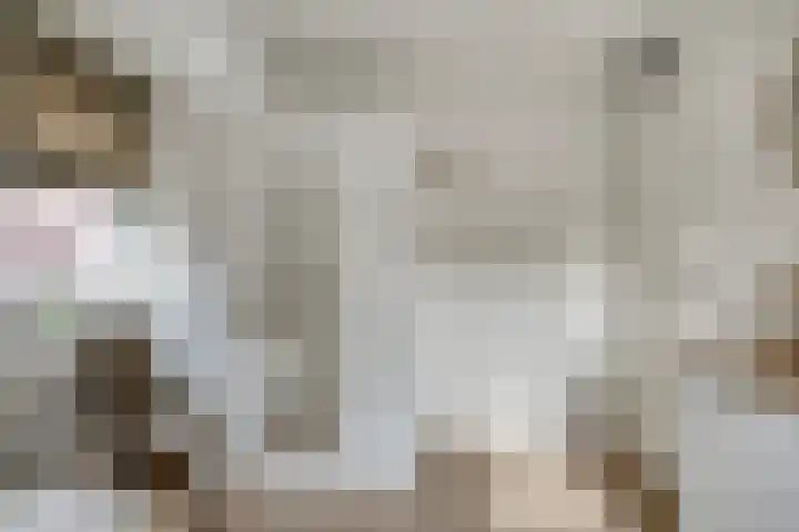 Jupiterweg 61 Oss thumbnail 27