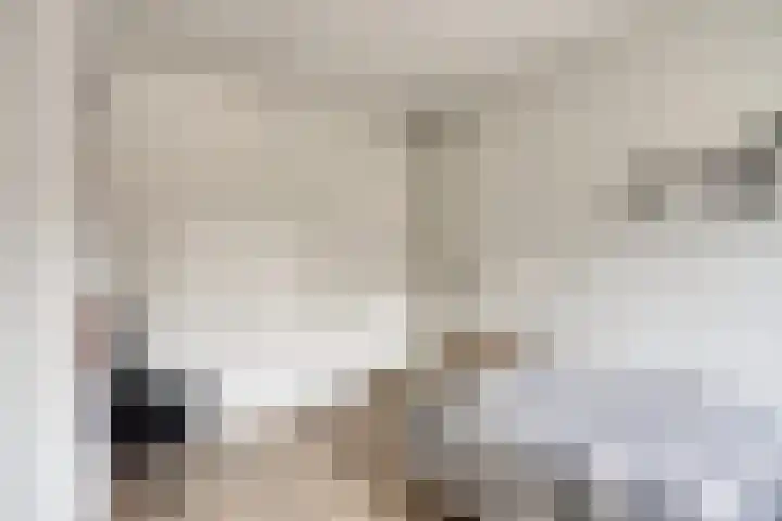 Jupiterweg 61 Oss thumbnail 29
