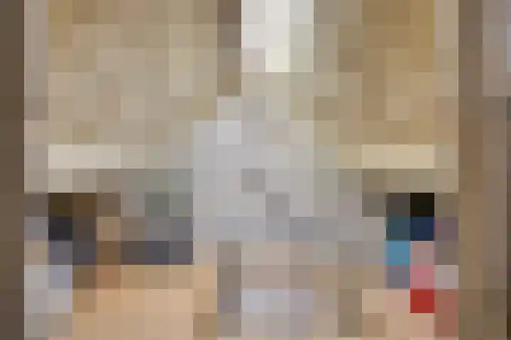 Jupiterweg 61 Oss thumbnail 31