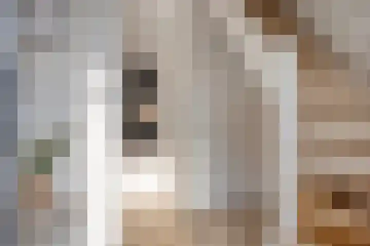 Jupiterweg 61 Oss thumbnail 6