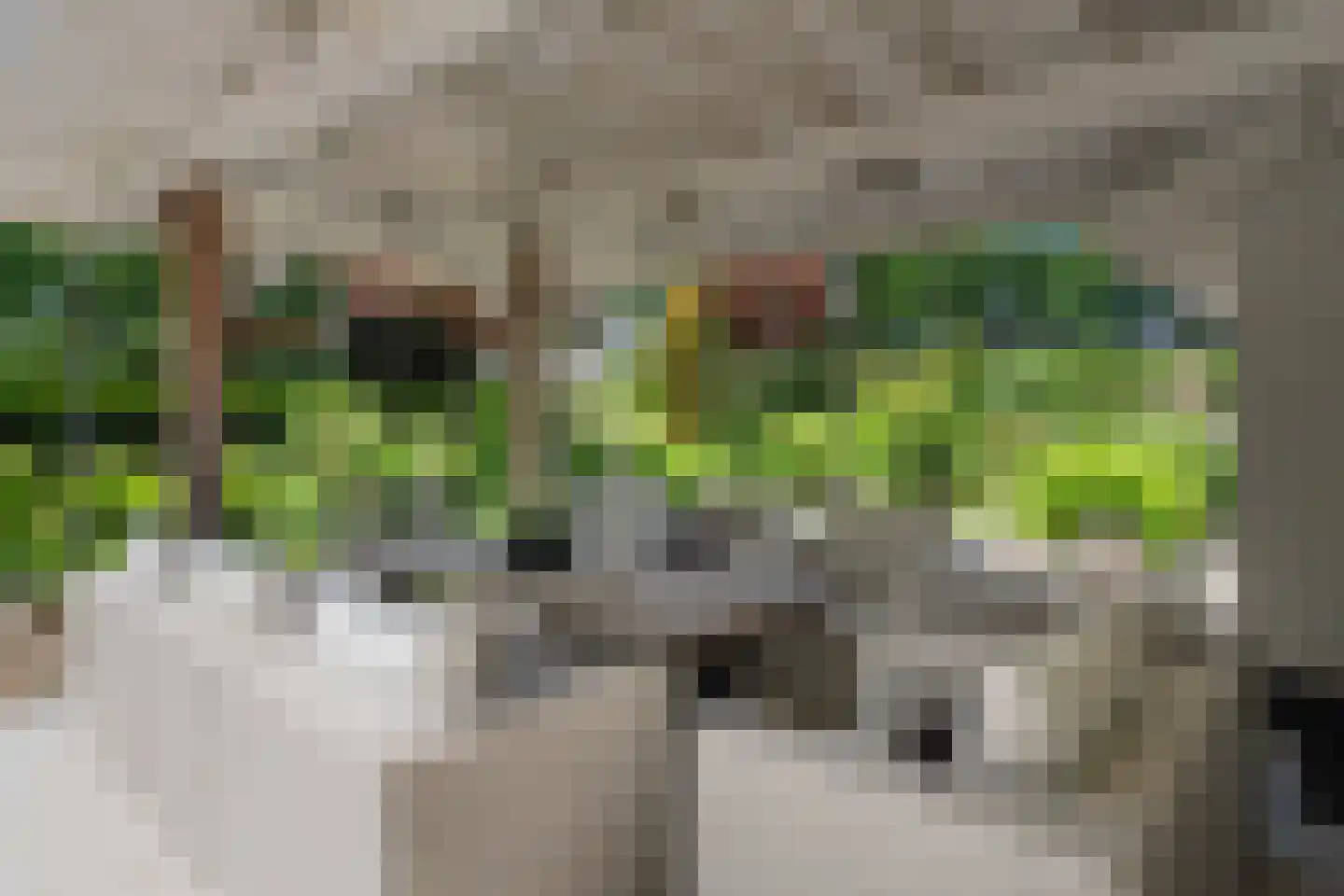 Jura 39 Almelo thumbnail 11