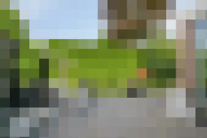 Juraberg 23 Roosendaal thumbnail 30