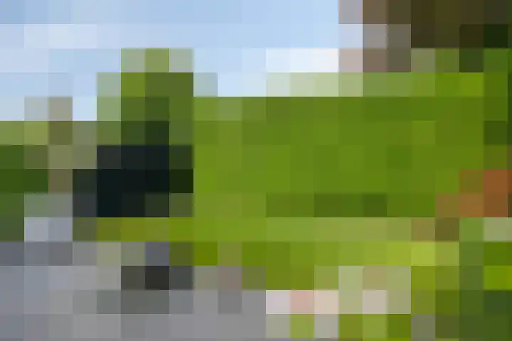 Juraberg 23 Roosendaal thumbnail 32