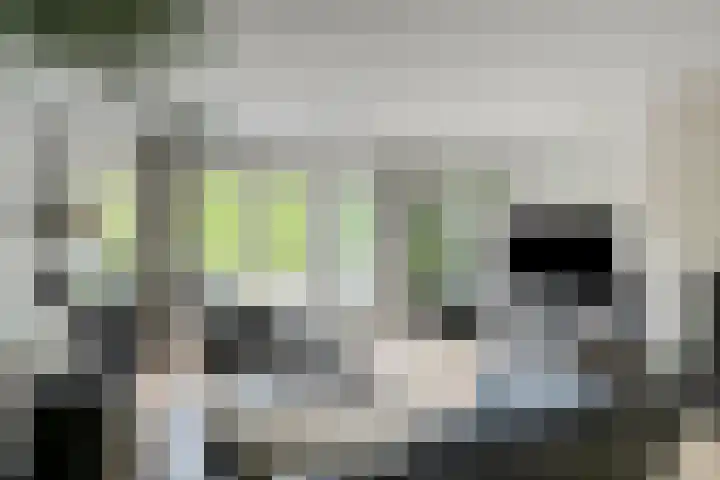 Juraberg 23 Roosendaal thumbnail 4