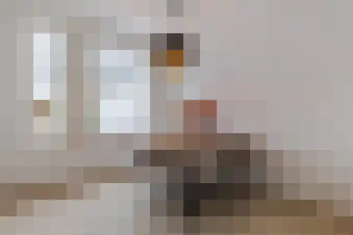 Juralaan 13 Eindhoven thumbnail 11