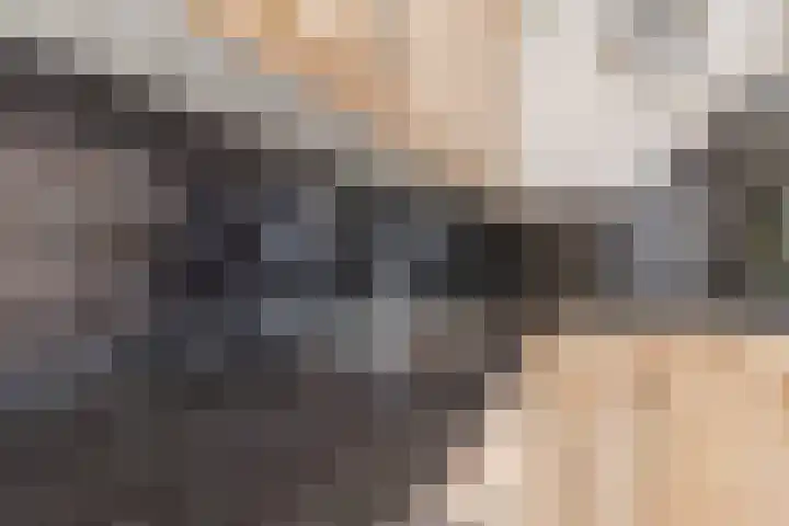 Juralaan 13 Eindhoven thumbnail 15