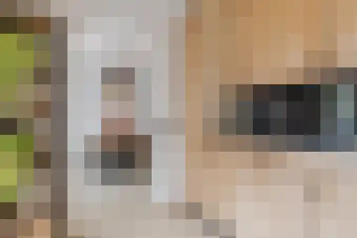 Juralaan 13 Eindhoven thumbnail 19