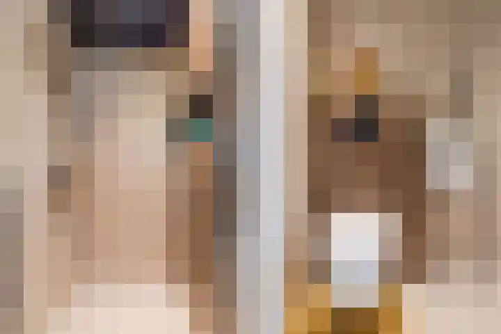 Juralaan 13 Eindhoven thumbnail 31