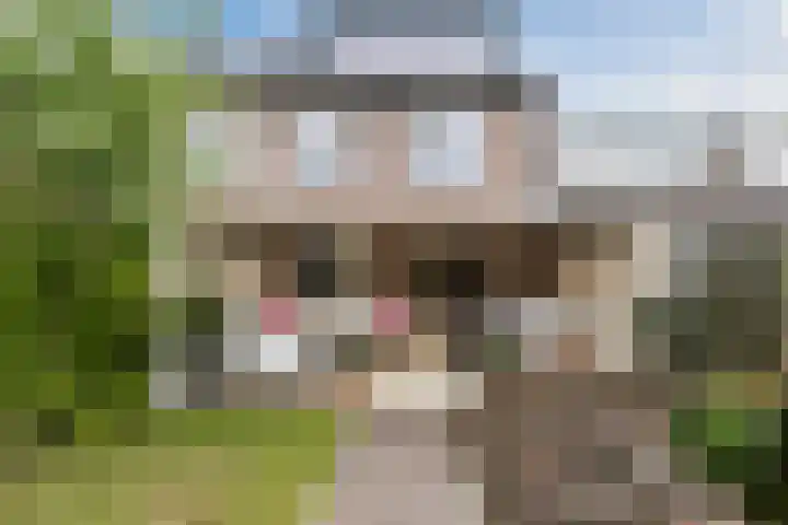 Juralaan 13 Eindhoven thumbnail 41