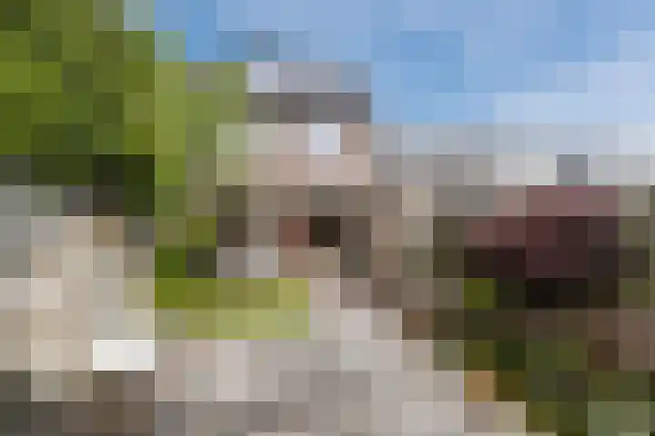 Juralaan 13 Eindhoven thumbnail 42