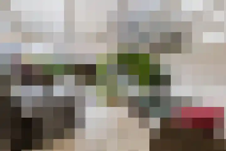 Juralaan 13 Eindhoven thumbnail 45
