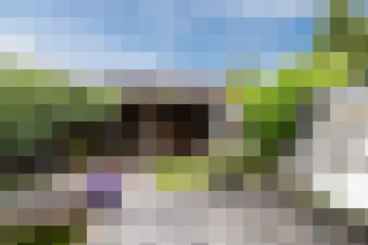 Juralaan 13 Eindhoven thumbnail 47