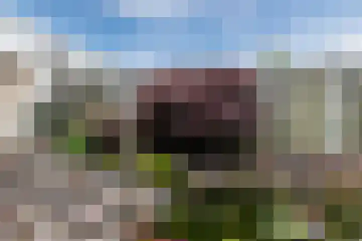 Juralaan 13 Eindhoven thumbnail 49