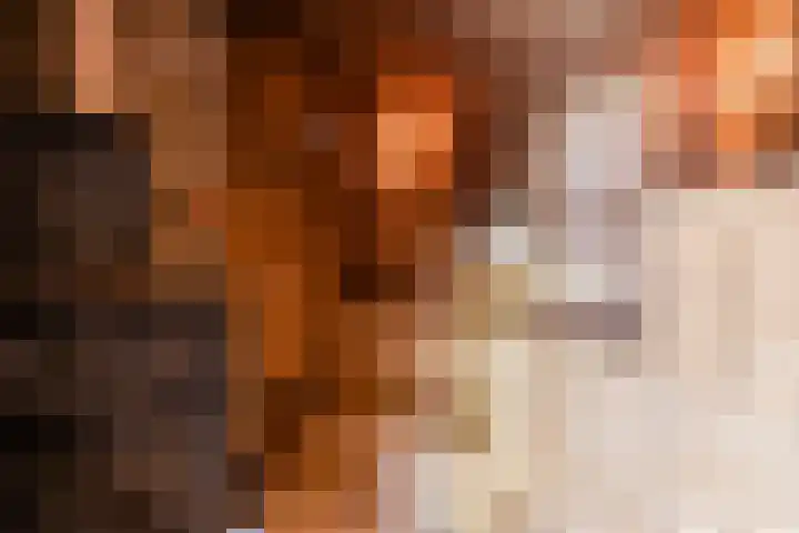 Juralaan 13 Eindhoven thumbnail 54
