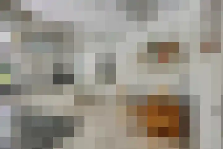 Juralaan 13 Son en Breugel thumbnail 12