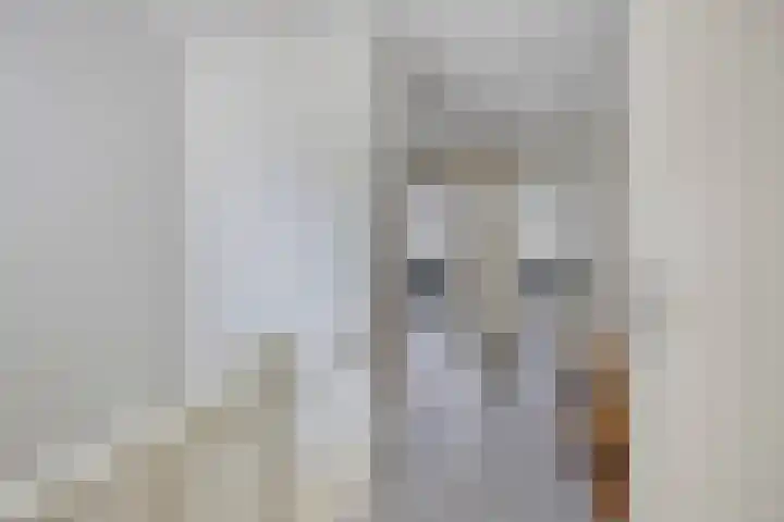 Juralaan 13 Son en Breugel thumbnail 27