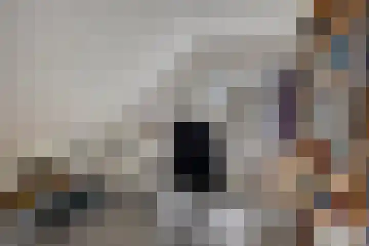 Juralaan 13 Son en Breugel thumbnail 28