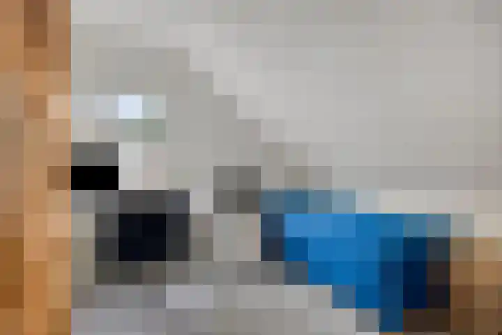 Juralaan 13 Son en Breugel thumbnail 29