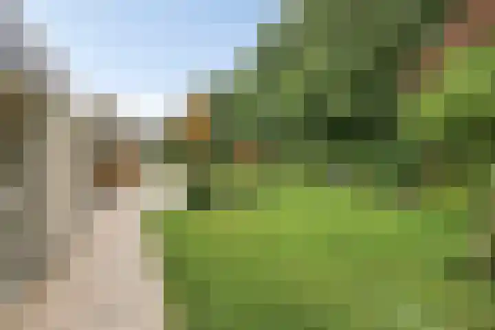 Juralaan 13 Son en Breugel thumbnail 32