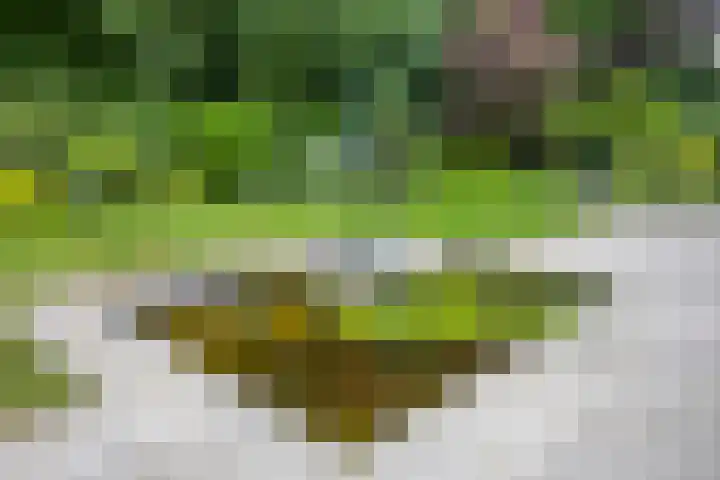 Juralaan 13 Son en Breugel thumbnail 34