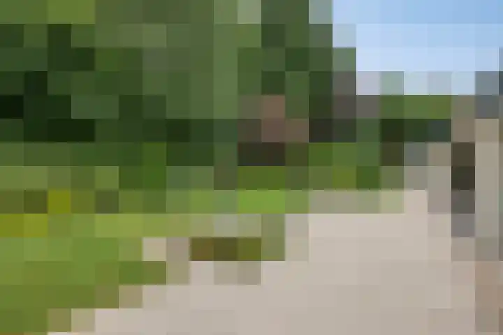 Juralaan 13 Son en Breugel thumbnail 35