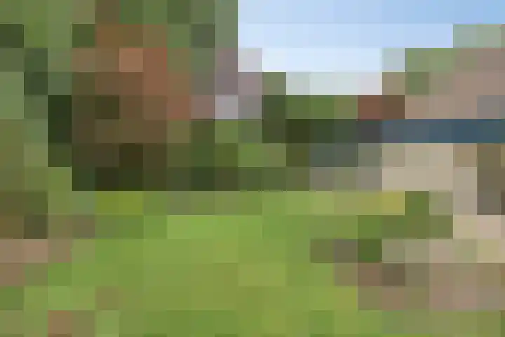 Juralaan 13 Son en Breugel thumbnail 36