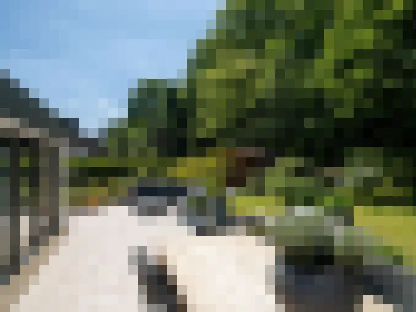Juralaan 13 Son en Breugel thumbnail 38