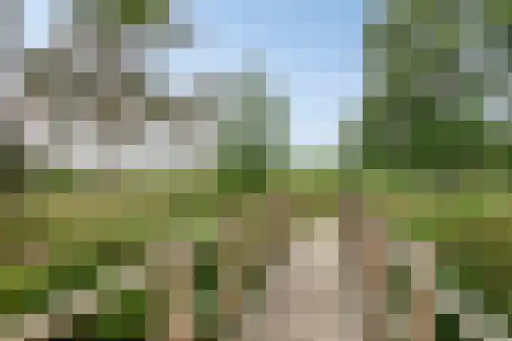 Juralaan 13 Son en Breugel thumbnail 38