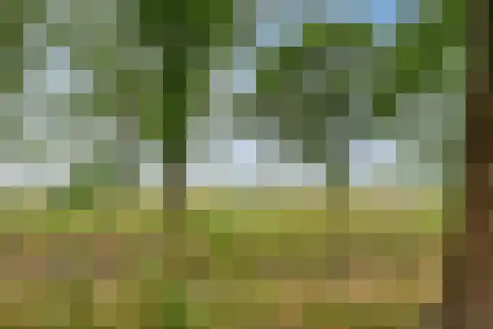 Juralaan 13 Son en Breugel thumbnail 39