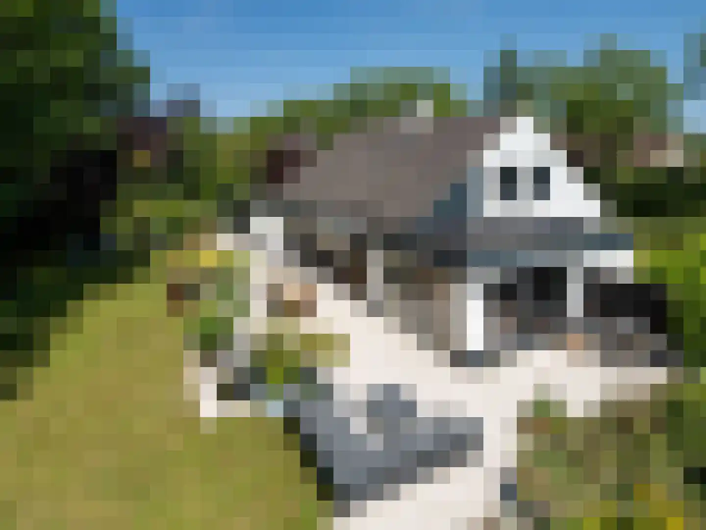 Juralaan 13 Son en Breugel thumbnail 41