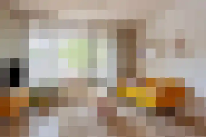Juralaan 130 Tilburg thumbnail 10