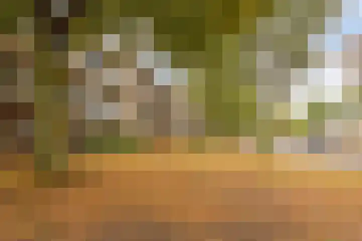 Juralaan 130 Tilburg thumbnail 4