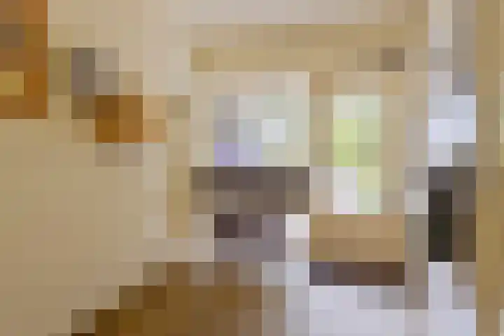 Juralaan 130 Tilburg thumbnail 6