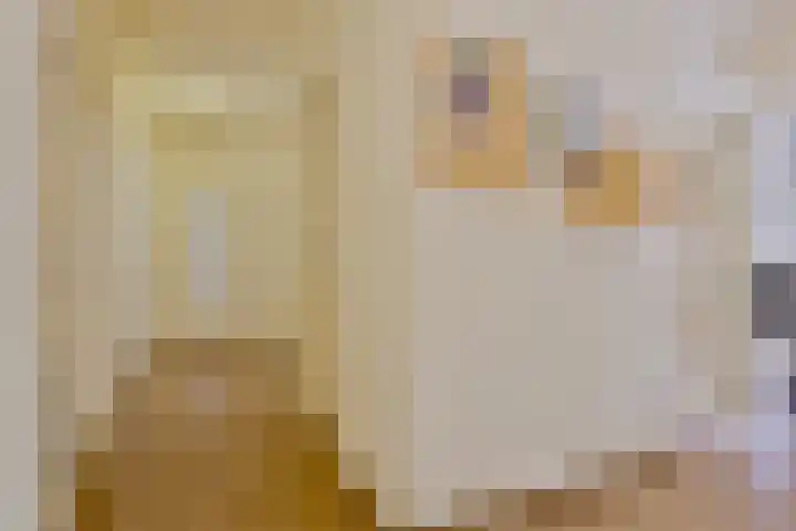 Juralaan 130 Tilburg thumbnail 7