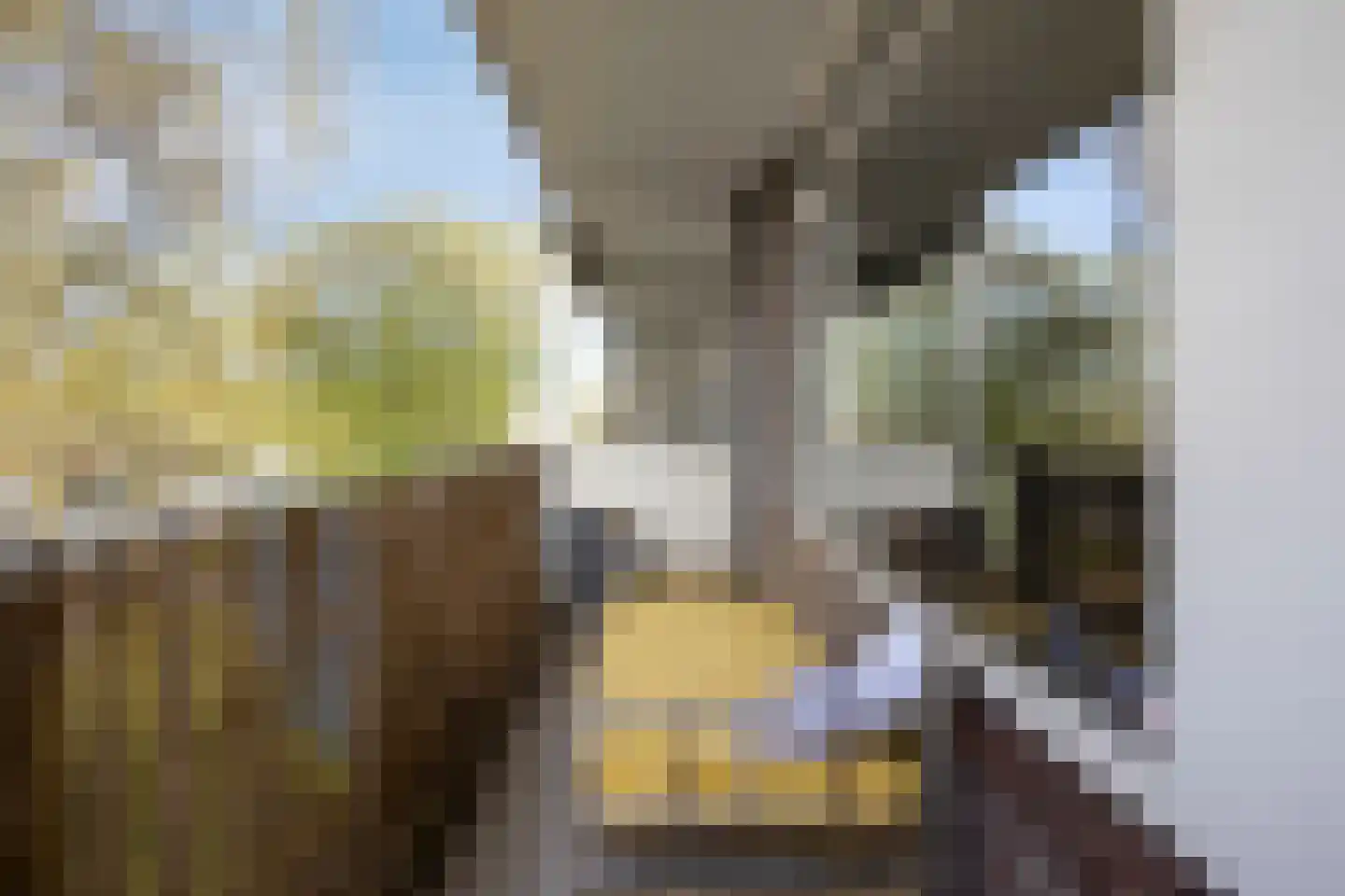 Juralaan 136 Tilburg thumbnail 18