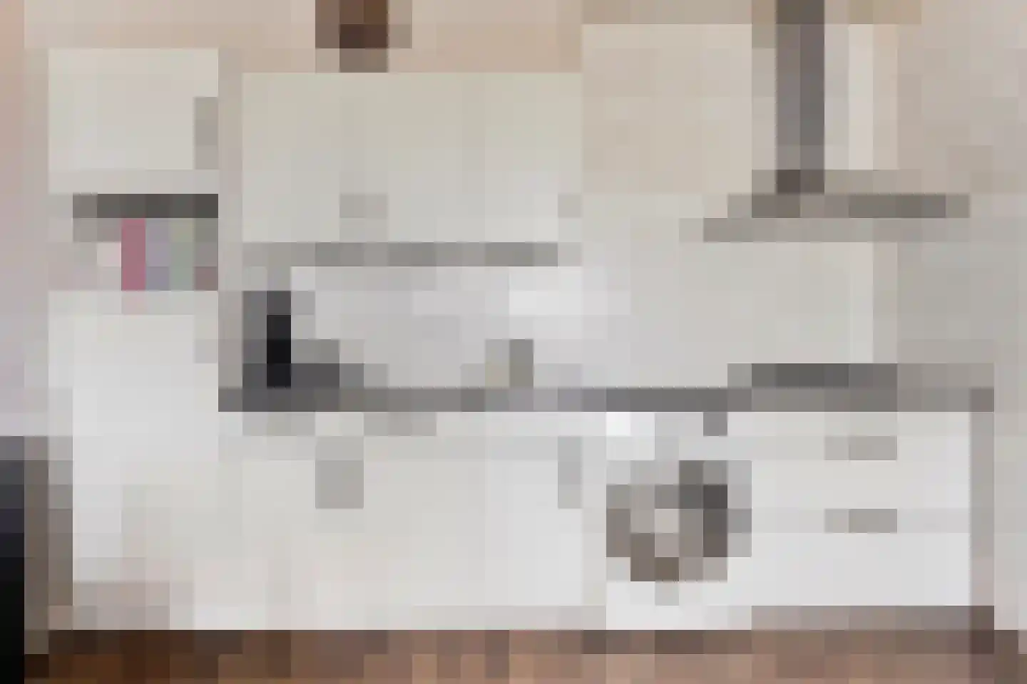Juralaan 136 Tilburg thumbnail 28
