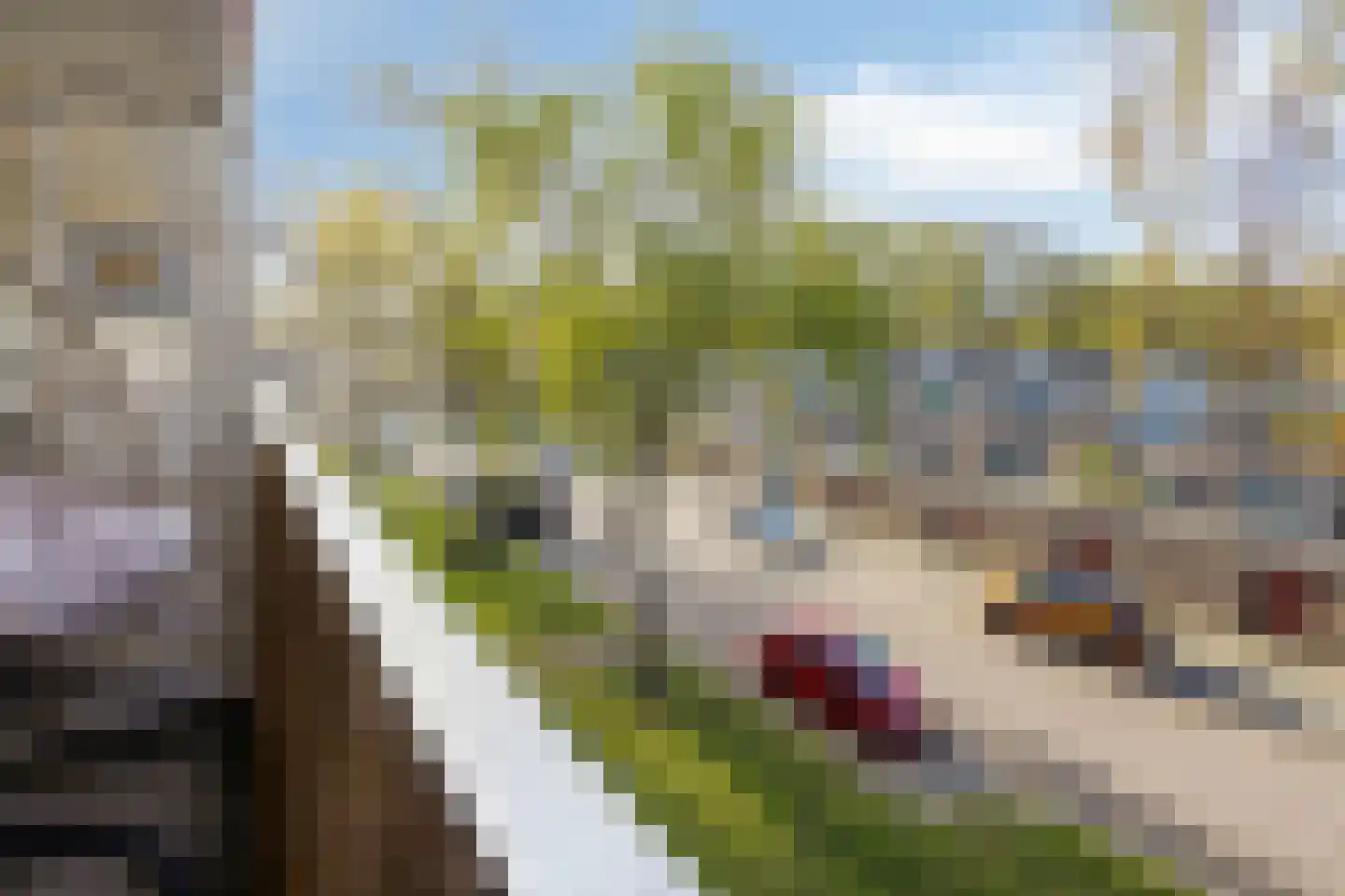 Juralaan 136 Tilburg thumbnail 5