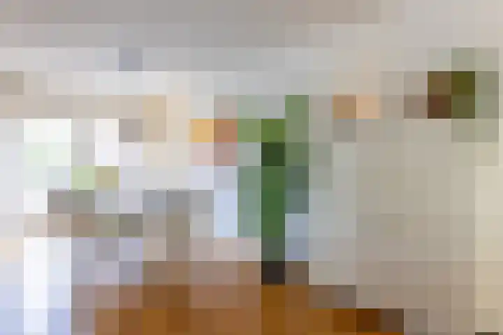 Juralaan 14 Oldenzaal thumbnail 13