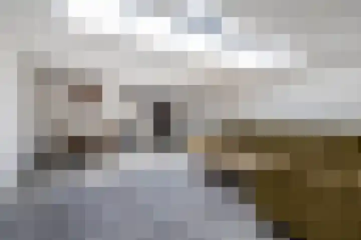 Juralaan 25 Eindhoven thumbnail 12