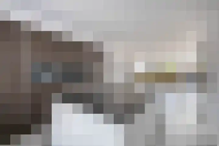 Juralaan 25 Eindhoven thumbnail 18