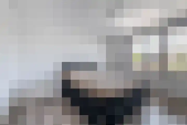 Juralaan 25 Eindhoven thumbnail 19