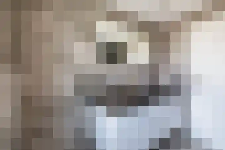 Juralaan 25 Eindhoven thumbnail 25